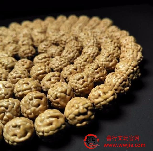 这18种菩提，值得收藏哦！