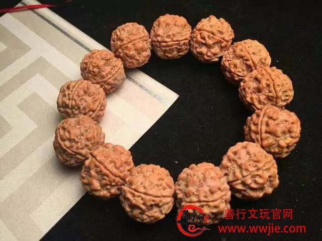 这18种菩提，值得收藏哦！