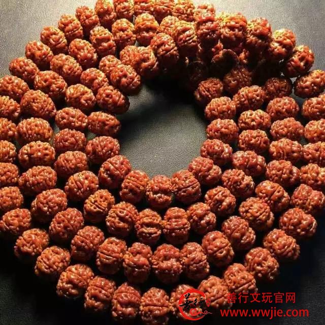 这18种菩提，值得收藏哦！