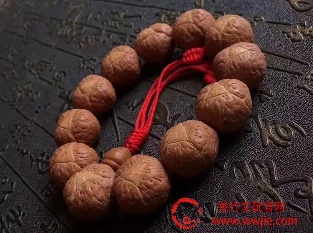 这18种菩提，值得收藏哦！