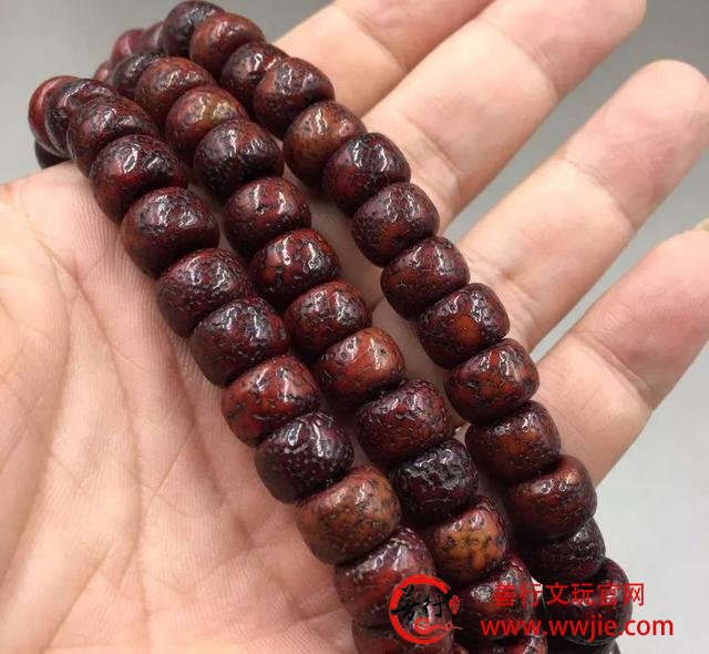这18种菩提，值得收藏哦！
