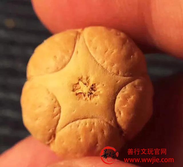 这18种菩提，值得收藏哦！