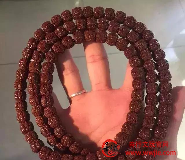 这18种菩提，值得收藏哦！