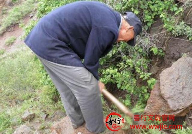 社会资讯：这种玛瑙石头，老爷爷砸的完整才值钱，精品玛瑙欣赏！