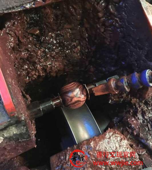 黄花梨珍贵之处在于纹理多姿多彩 一会儿山水 一会儿虎皮纹