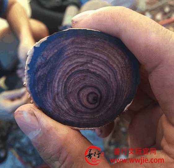 黄花梨珍贵之处在于纹理多姿多彩 一会儿山水 一会儿虎皮纹