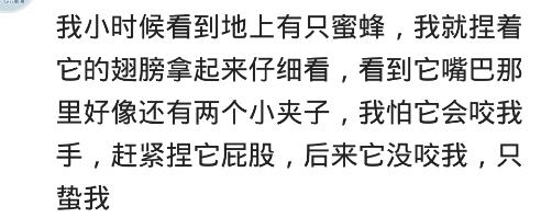 小时候吃杀猪菜，我奶让我给大锅添点柴火，我把一根黄花梨烧了