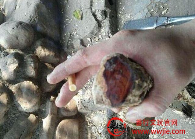 谁说文玩市场没好料3千元“捡”极品海南黄花梨玩友羡慕不已