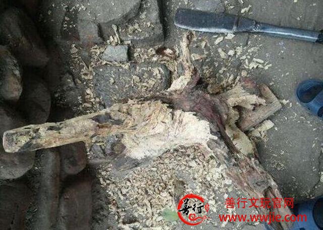 谁说文玩市场没好料3千元“捡”极品海南黄花梨玩友羡慕不已