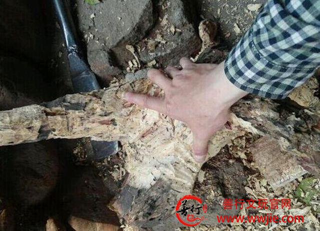 谁说文玩市场没好料3千元“捡”极品海南黄花梨玩友羡慕不已