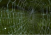戈壁玛瑙有“蛛网现象”？雕刻工艺使它如虎添翼！