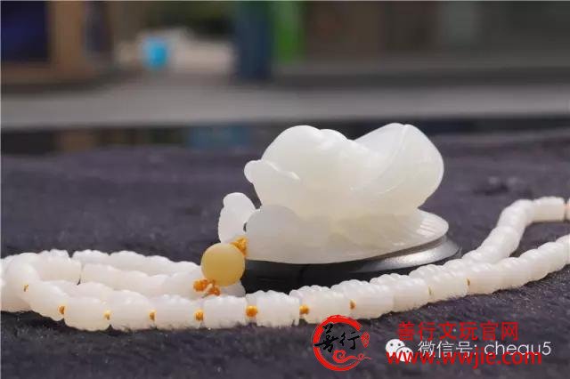 砗磲市场：砗磲真的还能涨吗？