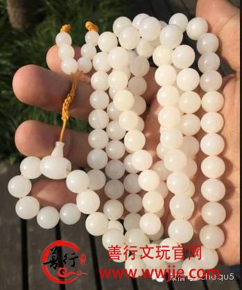 砗磲百问：砗磲还要不要买？怎么买？