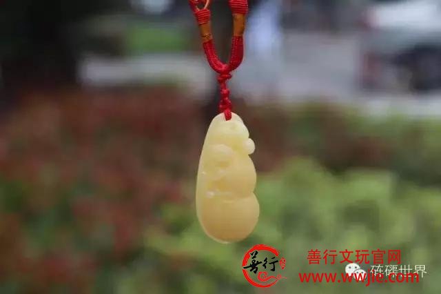 砗磲的分类，白砗磲与玉化砗磲如何分得清？