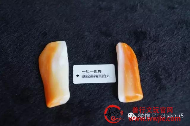 砗磲百问：砗磲的正确保养方法是什么？