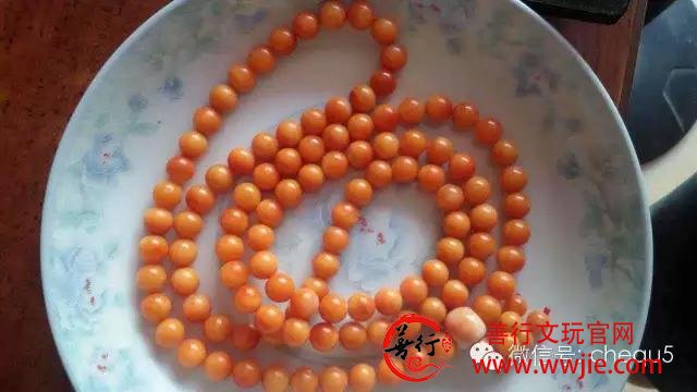 砗磲百问：砗磲项链昂贵吗？