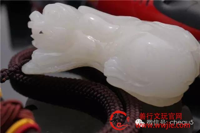 如何正确把玩砗磲中的极品玉化砗磲