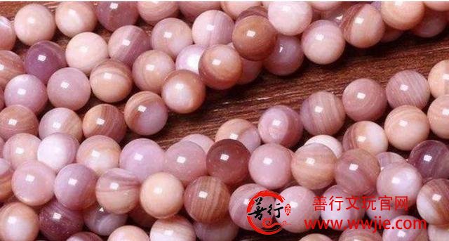 文玩之砗磲的主要分类，你真的了解吗？