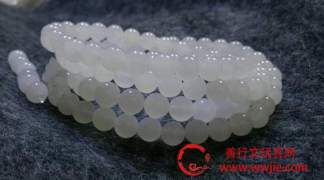 文玩之砗磲的主要分类，你真的了解吗？