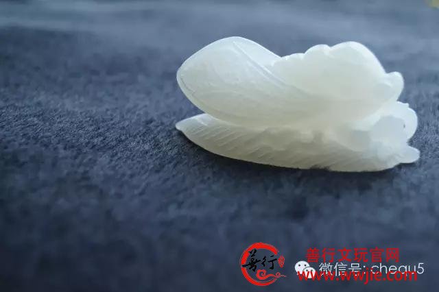 砗磲百问：黄金砗磲和玉化砗磲哪个值钱？