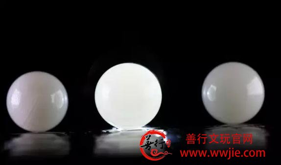 纯白砗磲与半透明砗磲的真假鉴别