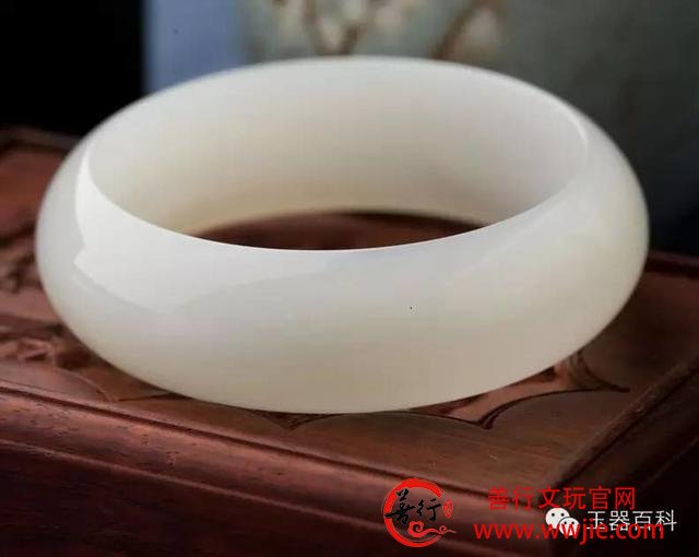珍稀级血砗磲的“替身”：万宝螺血砗磲