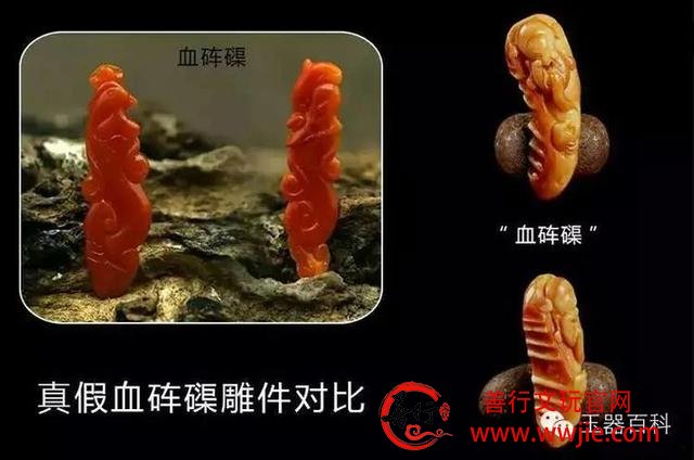 珍稀级血砗磲的“替身”：万宝螺血砗磲