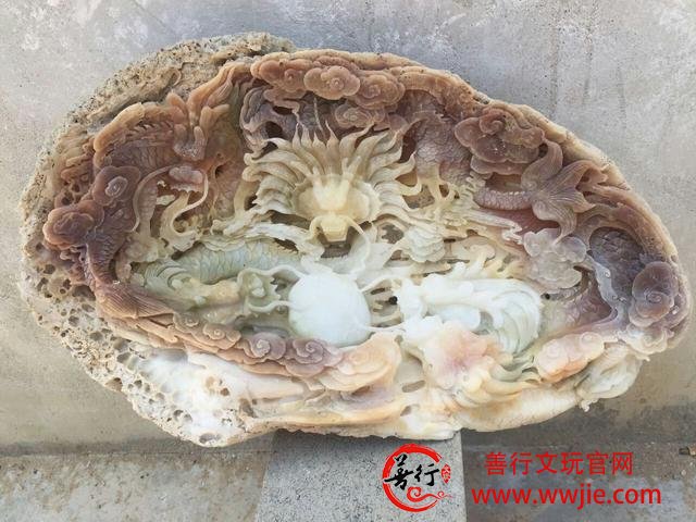 砗磲收藏之 黄岩岛紫砗磲