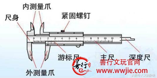 核桃为何缩尺？！揭示核桃缩尺真相！