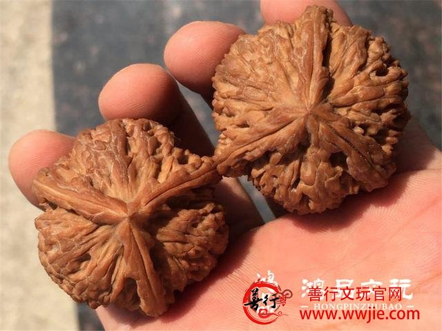 这几对文玩核桃都是三万多的，你觉得哪对最好？