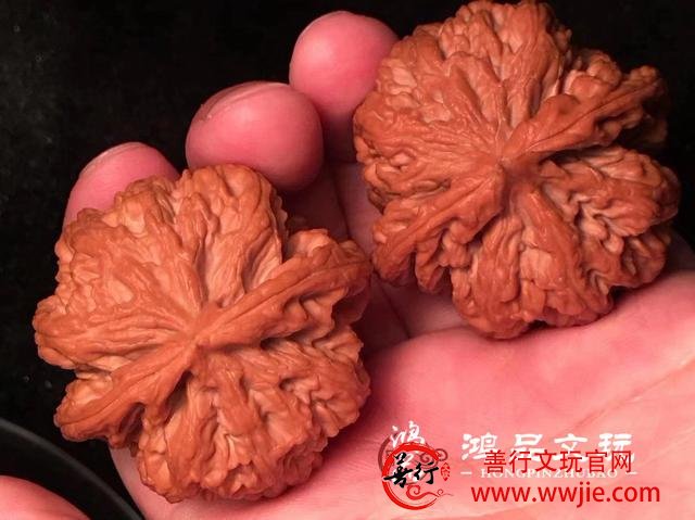 这种文玩核桃非常罕见，一般玩家没听说过