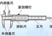 核桃为何缩尺？！揭示核桃缩尺真相！