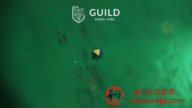 GUILD：祖母绿主要产地的原石与祖母绿包裹体图解