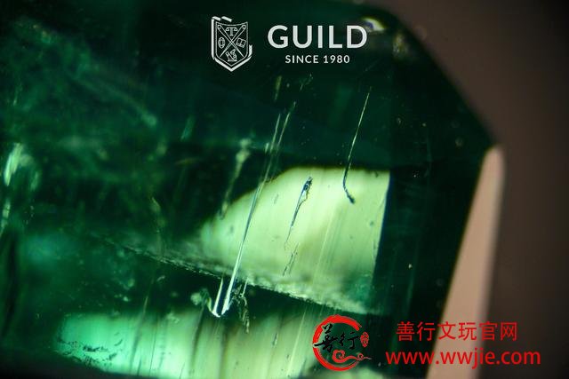 GUILD：祖母绿主要产地的原石与祖母绿包裹体图解