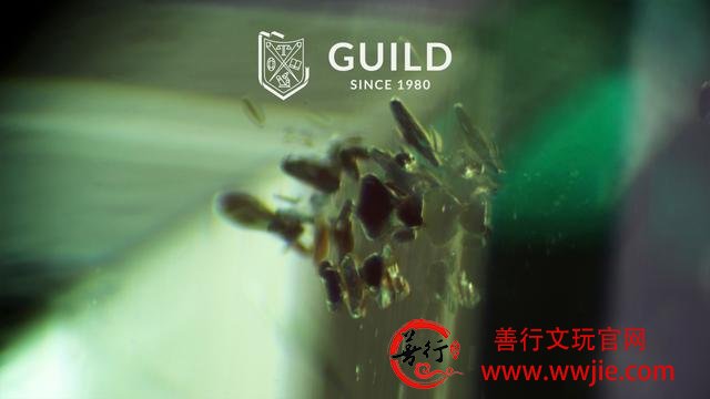 GUILD：祖母绿主要产地的原石与祖母绿包裹体图解