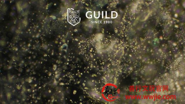 GUILD：祖母绿主要产地的原石与祖母绿包裹体图解