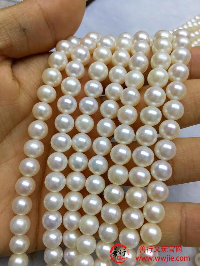 选购珍珠项链和选购珍珠的四大不同点。