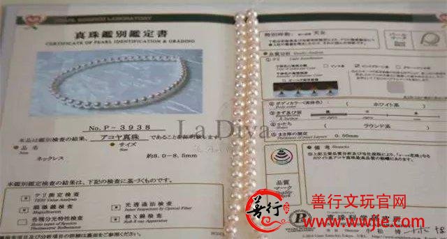顶级日本海水珍珠的“天女”珍珠项链